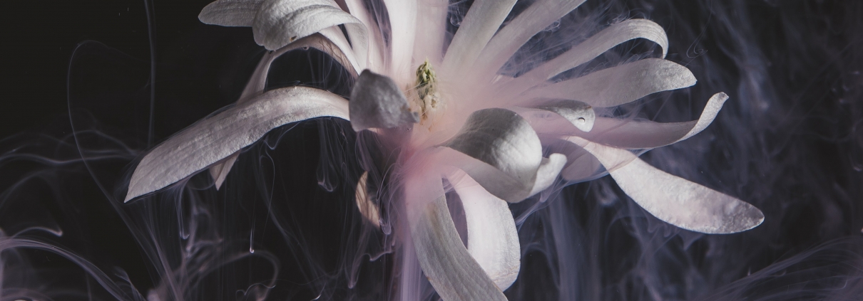 How VR Changes the Relationship We Have With Art - OneBonsai - Blog
