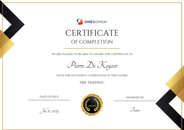 certificate-Pierre De Keyzer